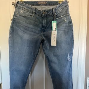 Stitch fix Just USA Vale Skinny Distressed Jeans